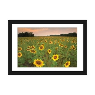 iCanvas quot Field Of Sunflowers Flint Hills National Wildlife Refuge