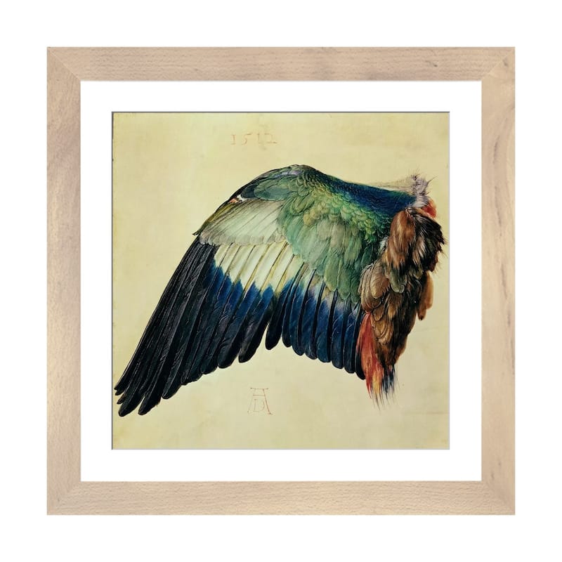 iCanvas "Wing Of A Blue Roller, 1512" by Albrecht Durer - Natural - 24x24x1