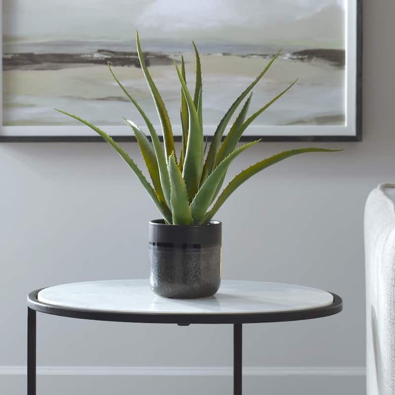 Glazed Ceramic Aloe Vera Planter - 19" - Gray