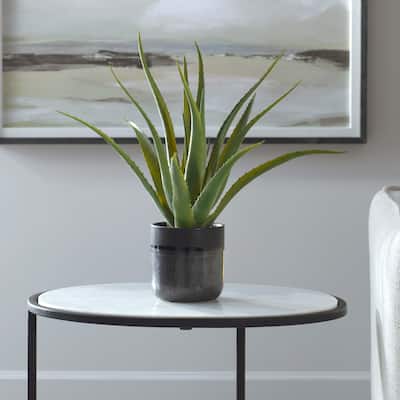 Glazed Ceramic Aloe Vera Planter - 19" - Gray