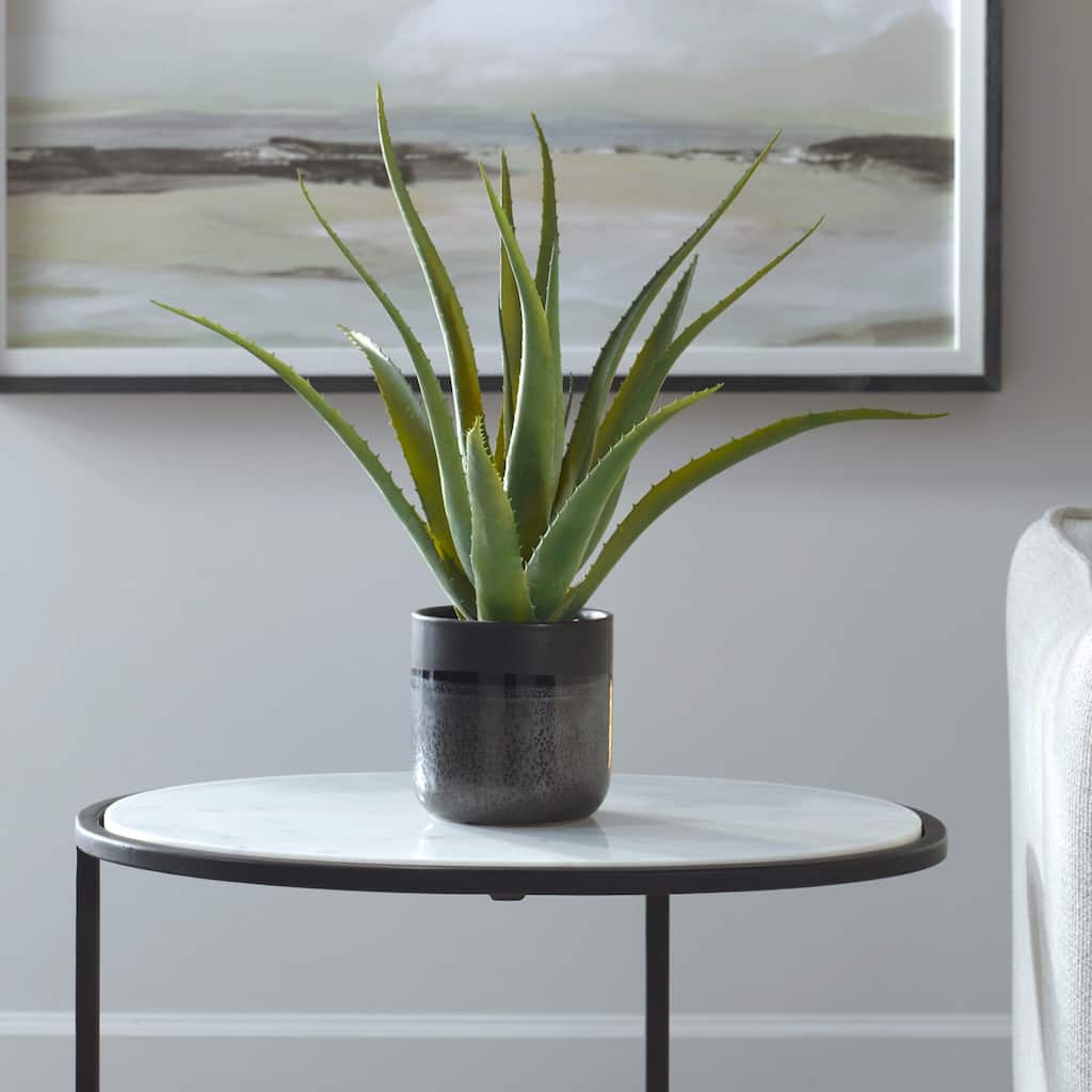 Glazed Ceramic Aloe Vera Planter - 19" - Gray