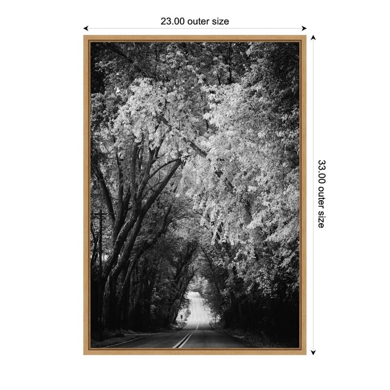 Kate and Laurel Sylvie Pleasant Valley Road Serene Path Framed Canvas by Emiko and Mark Franzen of F2Images