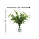preview thumbnail 5 of 3, Organic Modern Nandina Arranged in Glass Vase - Green