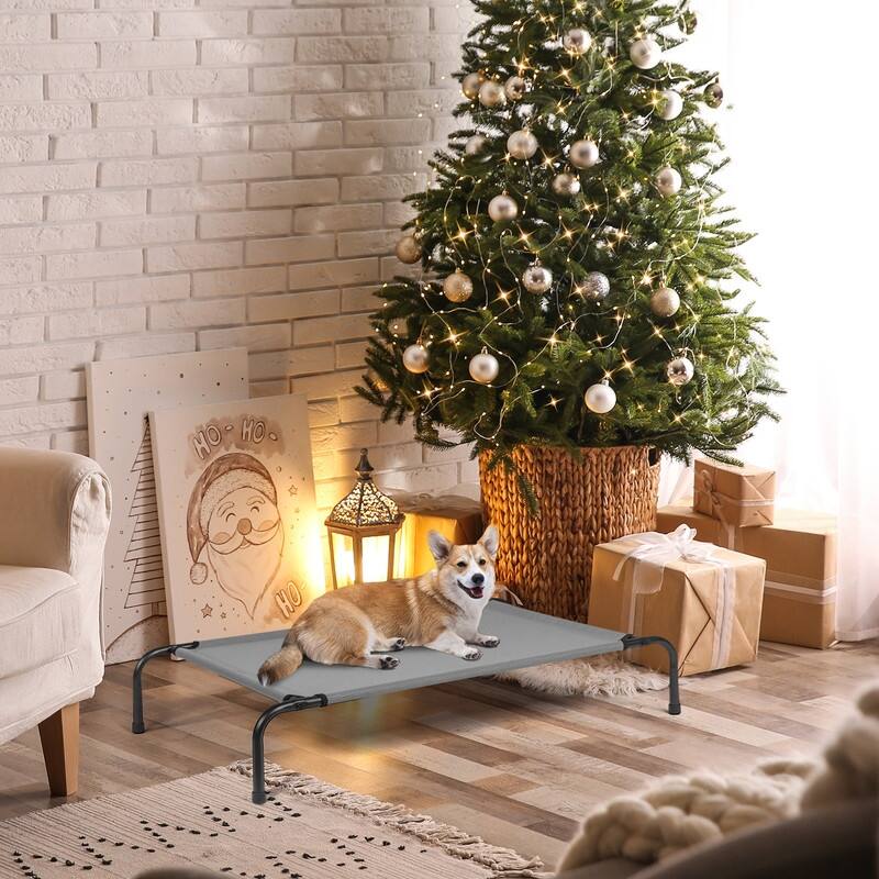 43 in. x 26 in. Iron Frame Mesh Top Outdoor Dog Cot - 43 in. x 16 in. x 8 in.