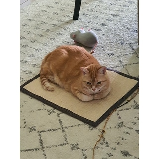 Big Ol Catnip Sack Cosmic Catnip Absolute Must For Your Cat 