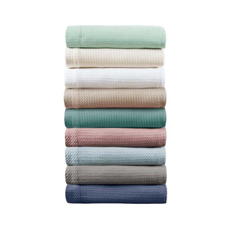 Madison Park Egyptian Cotton Solid Blanket