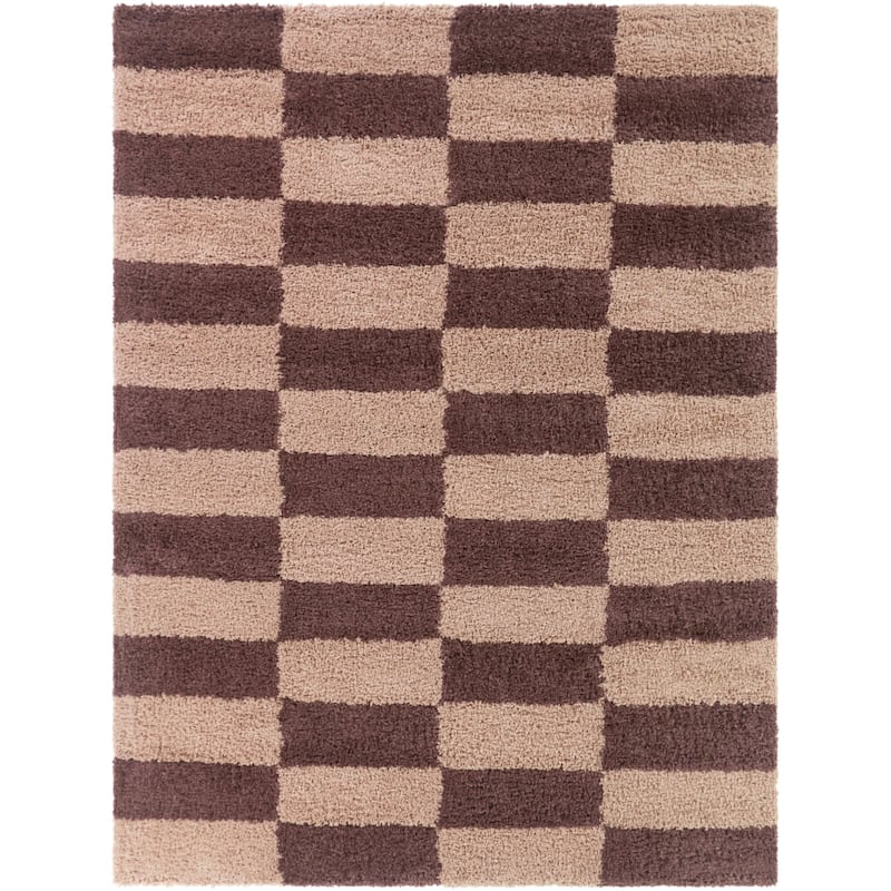 Dixon Checkered Shag Area Rug