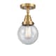 Option Brushed Brass / Seedy