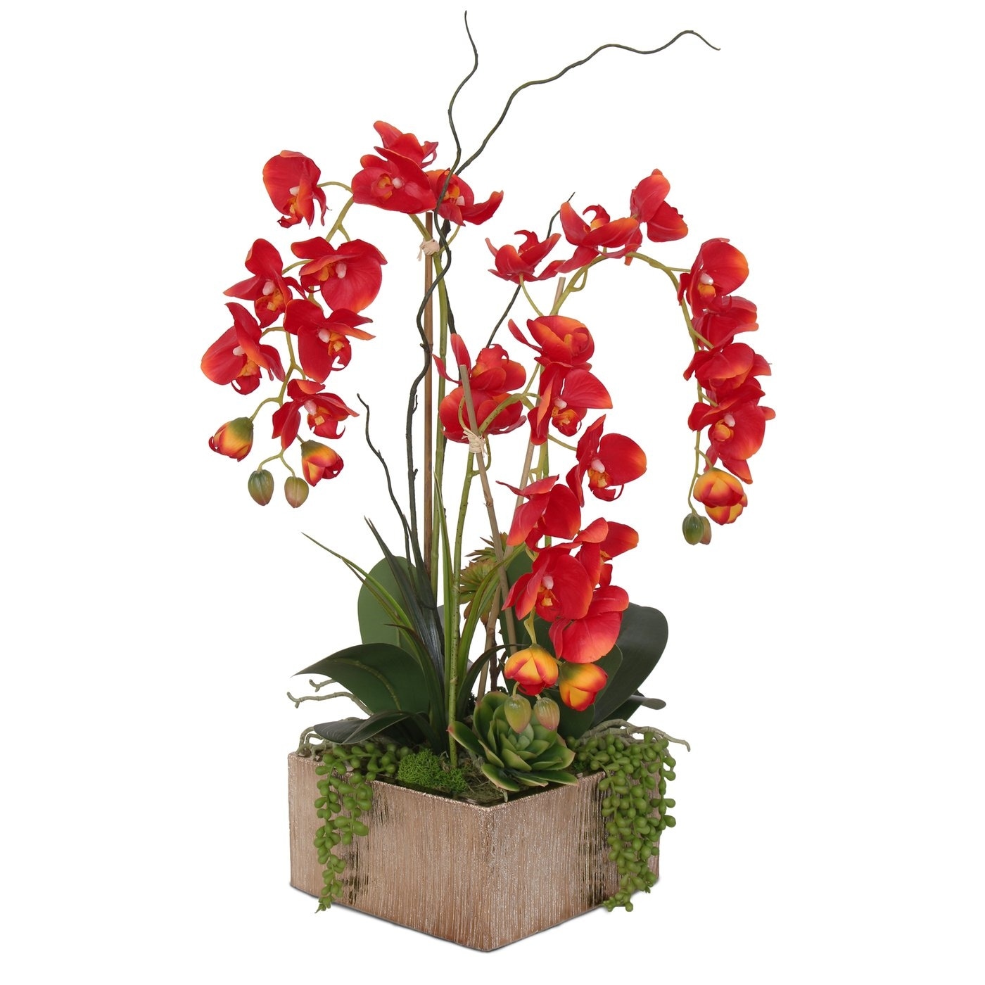 Real Touch Red Orchid Succulent Flower Arrangement in Square