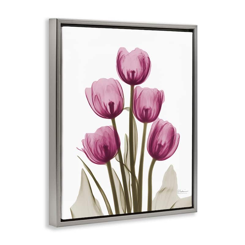 Stupell Pink X-Ray Tulips Framed Floater Canvas Wall Art Design by Albert Koetsier