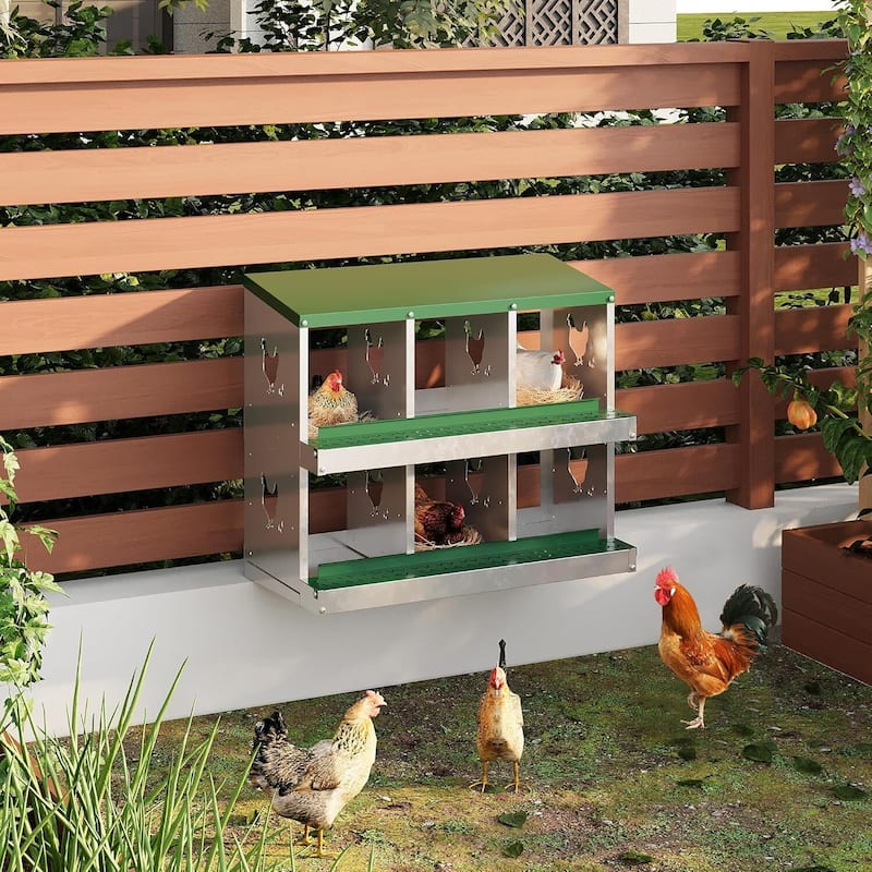 Wall-Mount or Free-Standing Metal Chicken Nesting Box for Hens, Green - Green 6 Compartments