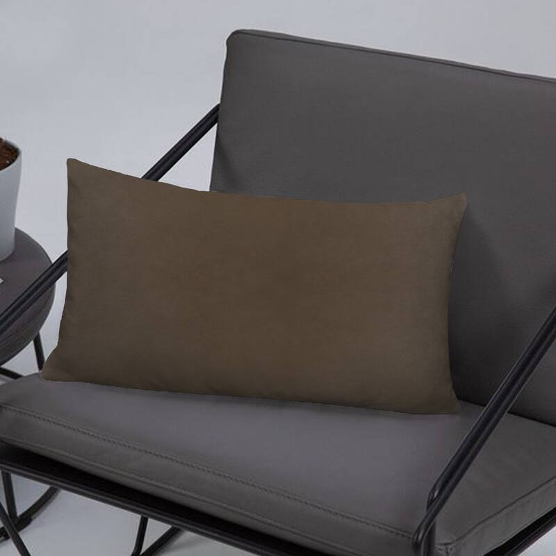 A1HC Set of 2 Luxurious Fine Soft Velvet Throw Pillow Covers Only, For Sofas, Beds, Vibrant Colors and Hidden Zipper