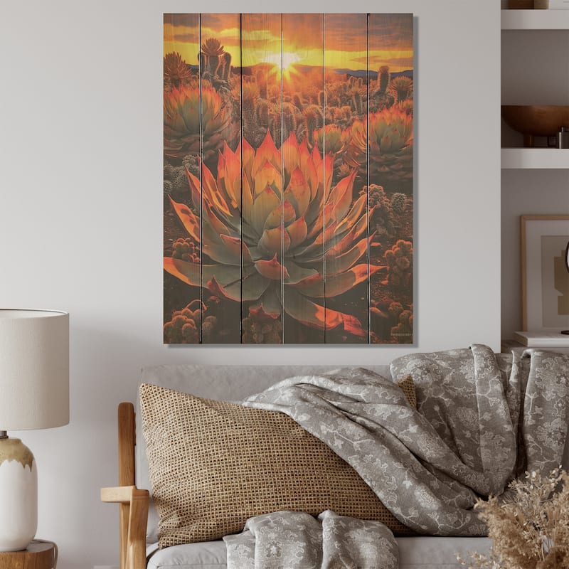 Designart "Green And Red Succulent Cactus Field Sunset I" Succulent Wall Art Red Wood Panel On Natural Pine Wood