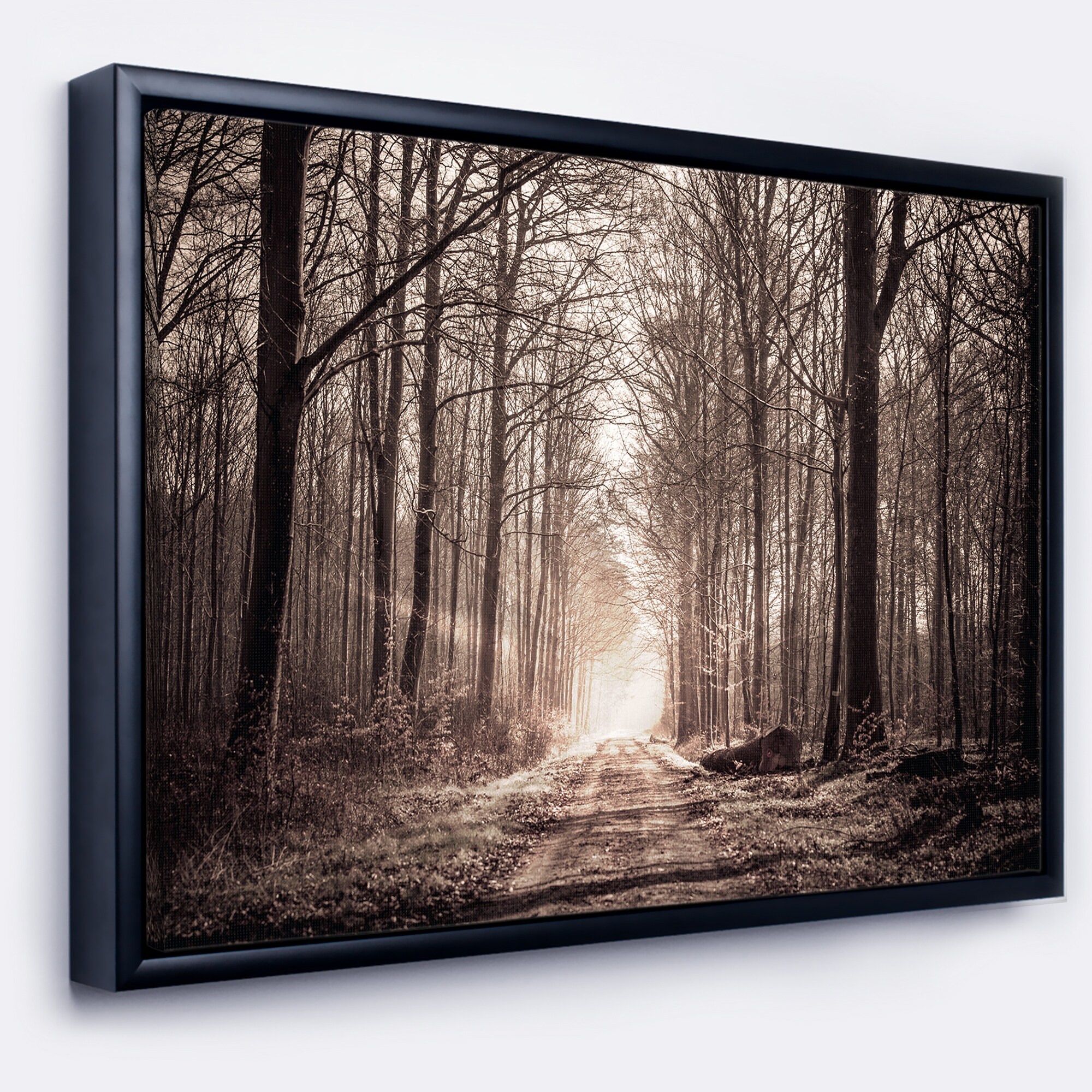 Designart Trail in Sepia" Landscape Framed Art Print - -