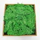 Option Emerald Green