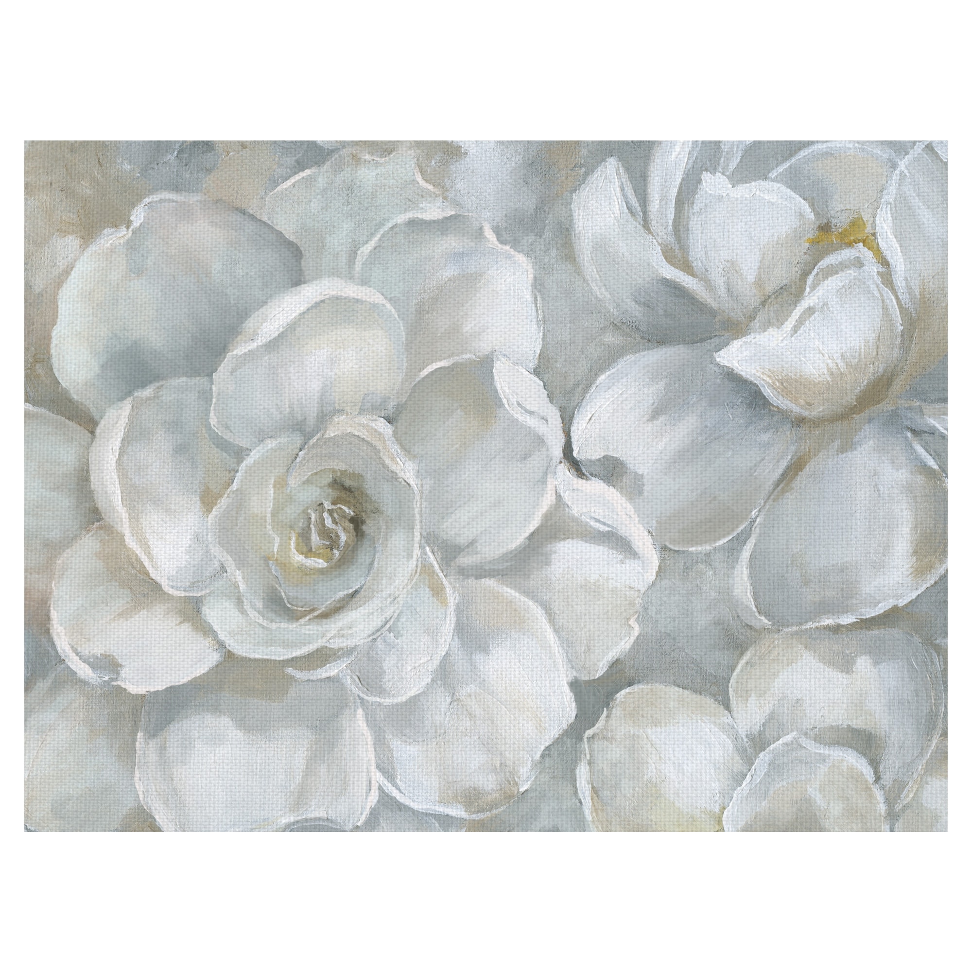 Gardenia by Nan Canvas Art Print