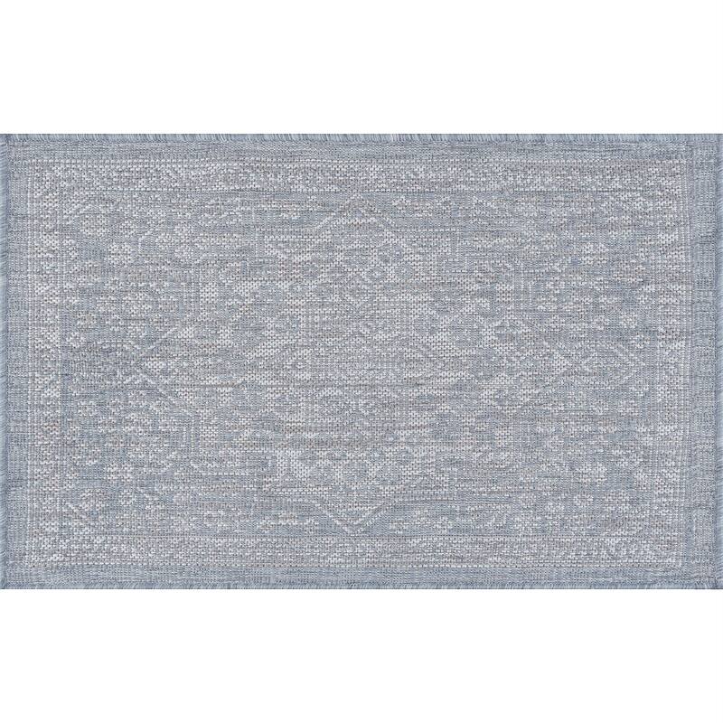 Colonnade Traditional Medallion Indoor/Outdoor Area Rug