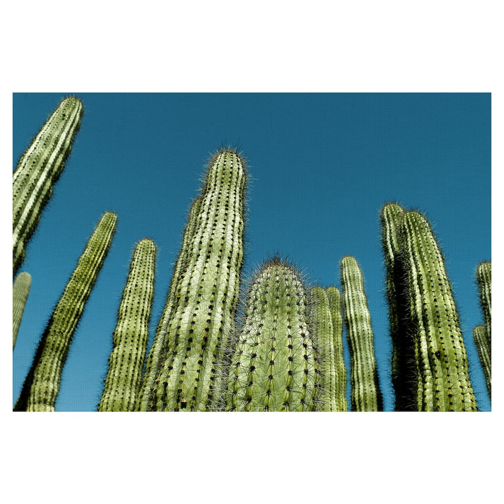 Cactus with Blue Sky by Belle Maison Canvas Art Print