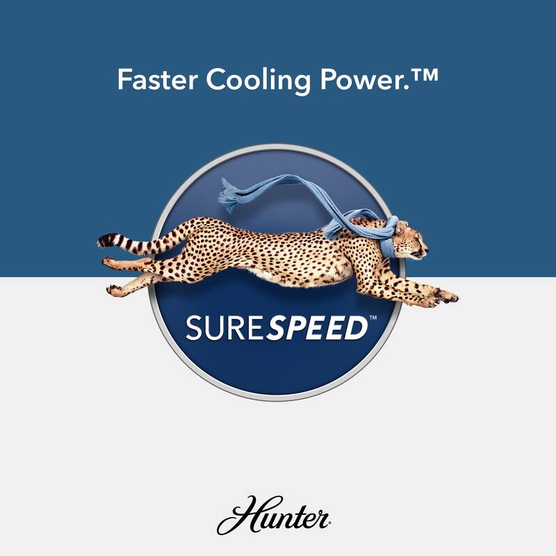 Hunter 54" Surge WeatherMax Indoor / Outdoor Ceiling Fan LED Light Kit Wall Control - Coastal Wet-Rated Salt-Air Resistant