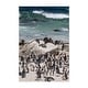 Boulders Beach Cape Town South Africa Photography Art Print/Poster ...
