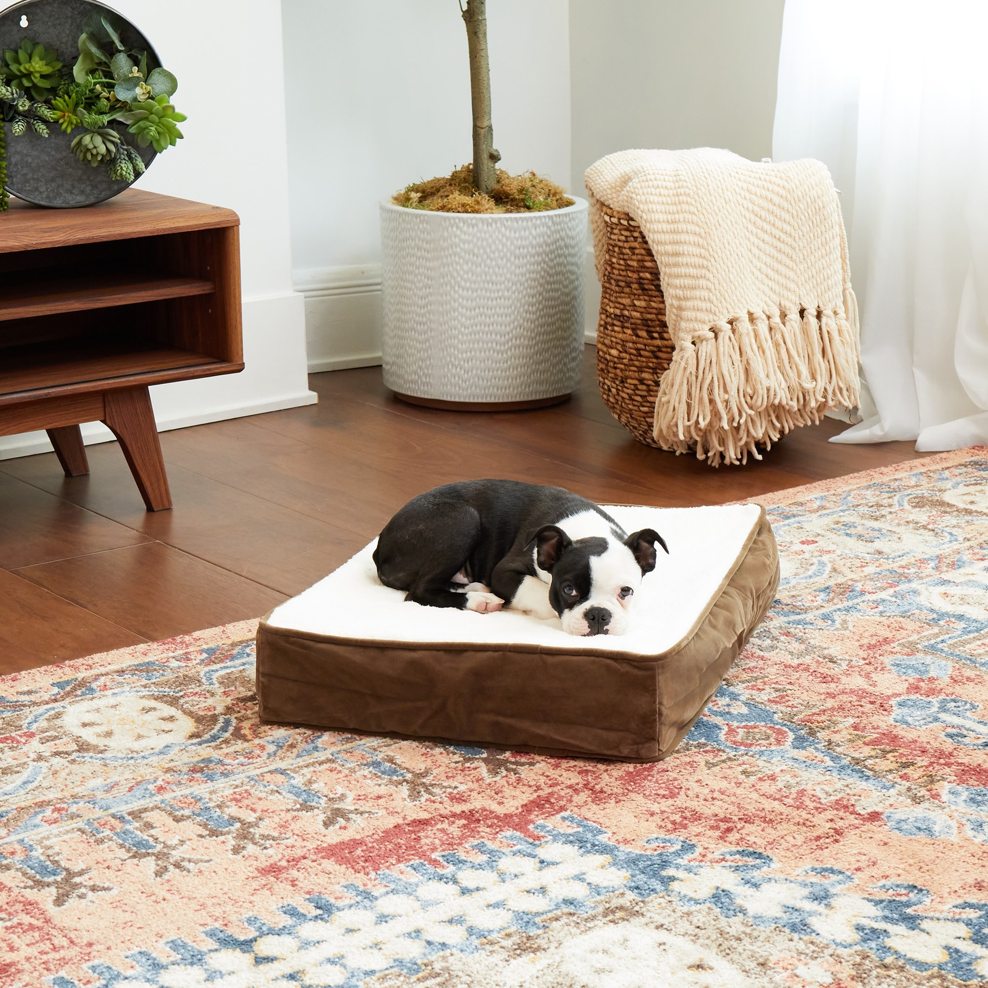 Happy Hounds Ozzie Mocha Orthopedic Dog Bed On Sale Overstock