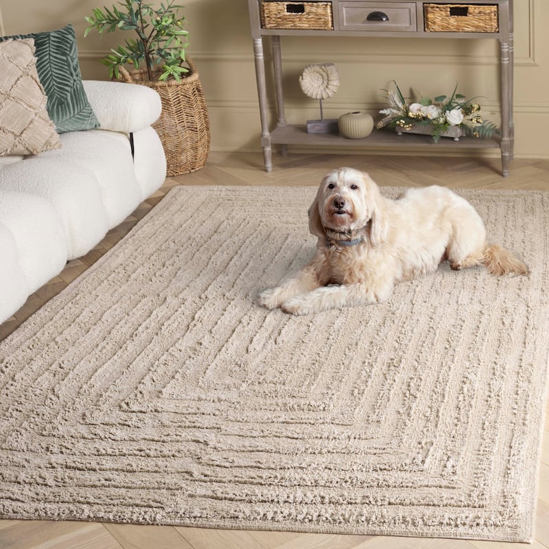 SAFAVIEH Handmade Easy Ejvor Care Machine Washable Rug