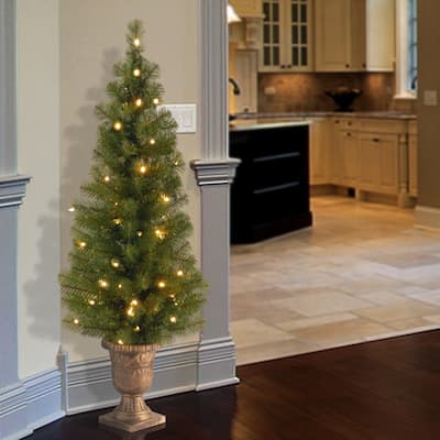National Tree Company 4 ft. Montclair Spruce Entrance Tree with Clear Lights