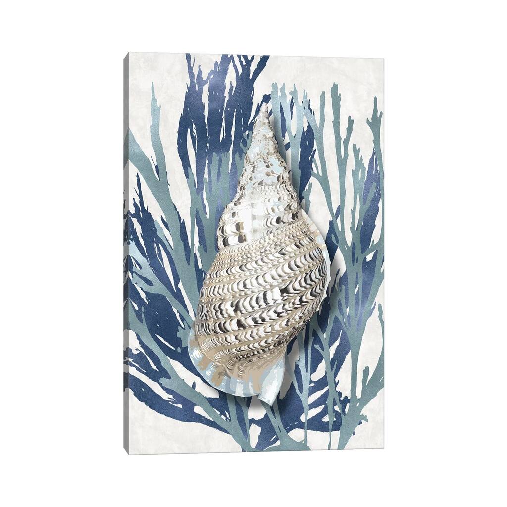iCanvas "Shell Coral Aqua Blue I" by Caroline Kelly Canvas Print