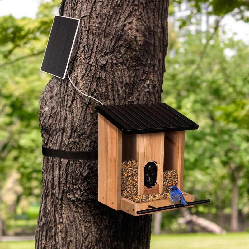 BirdsIVue Smart Feeder: Motion-Activated Video Solar Wooden Bird Feeder