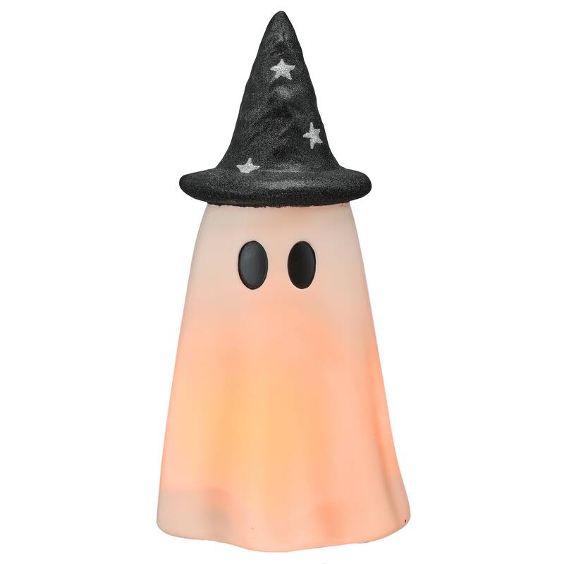 20" LED Battery Operated Timer Outdoor Ghost