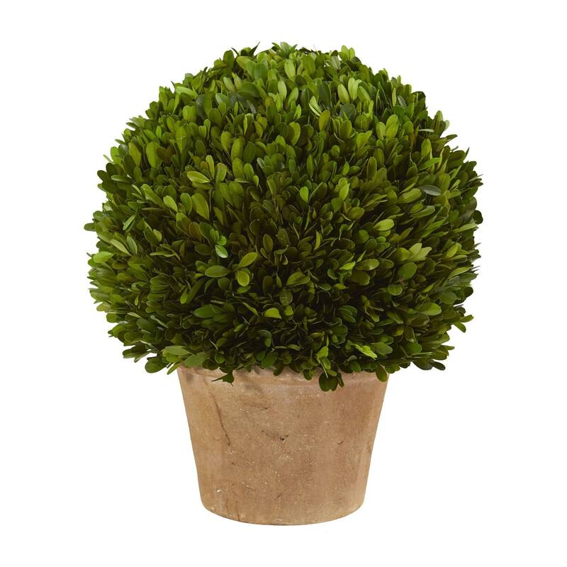 Nearly Natural 15" Boxwood Ball Preserved Plant in Planter - Green - Green