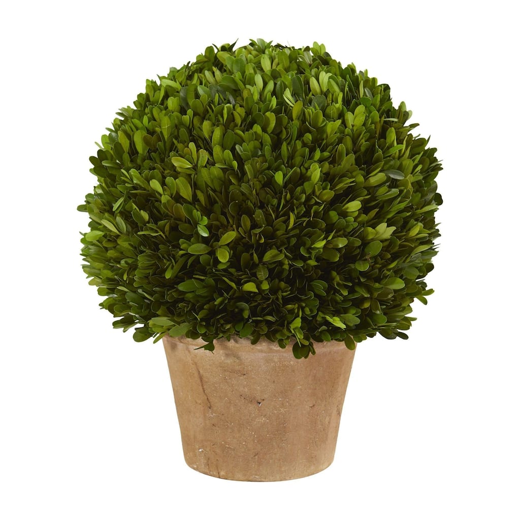Nearly Natural 15" Boxwood Ball Preserved Plant in Planter - Green