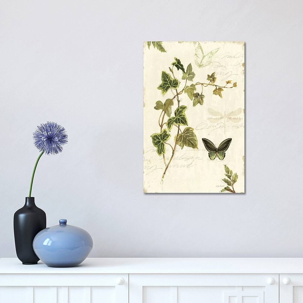 iCanvas "Ivies and Ferns IV" by Lisa Audit Canvas Print
