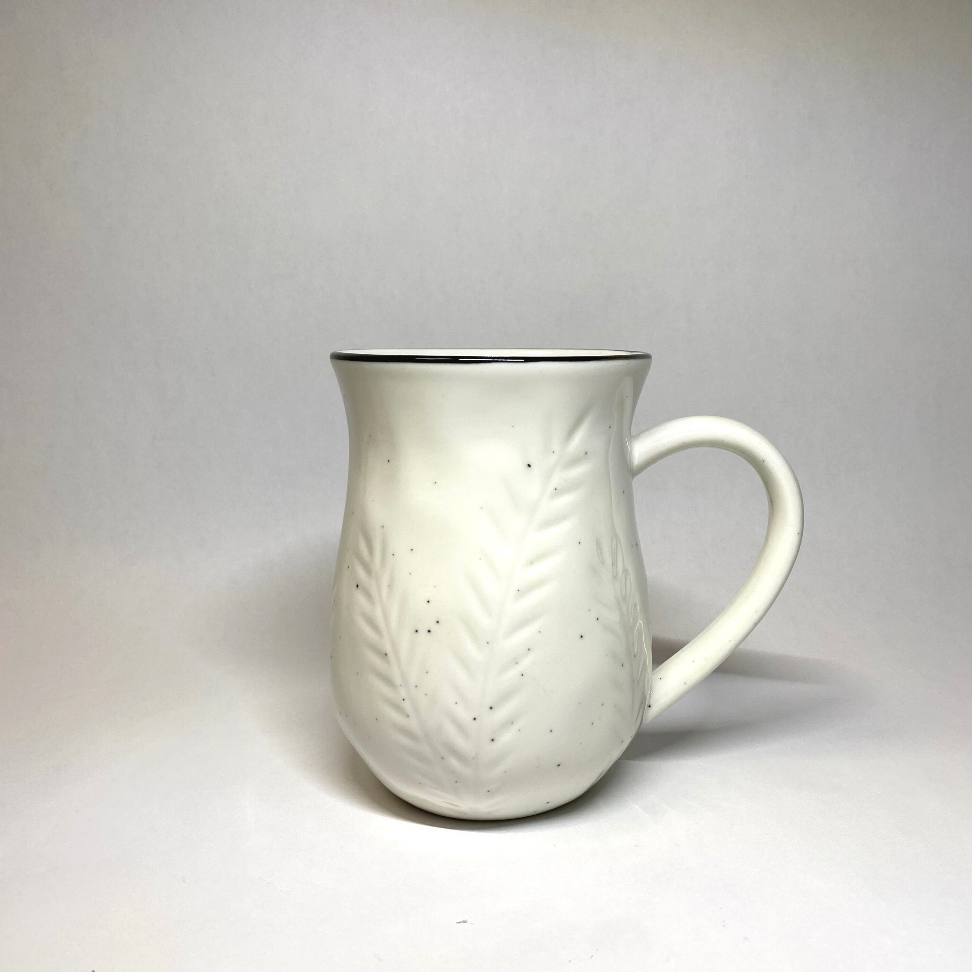 Hudson Valley Tall Mug Set of 6