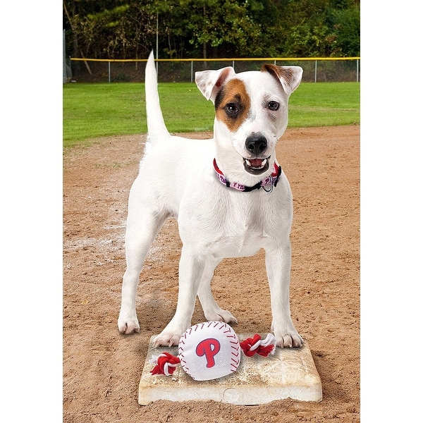 heavy duty dog rope