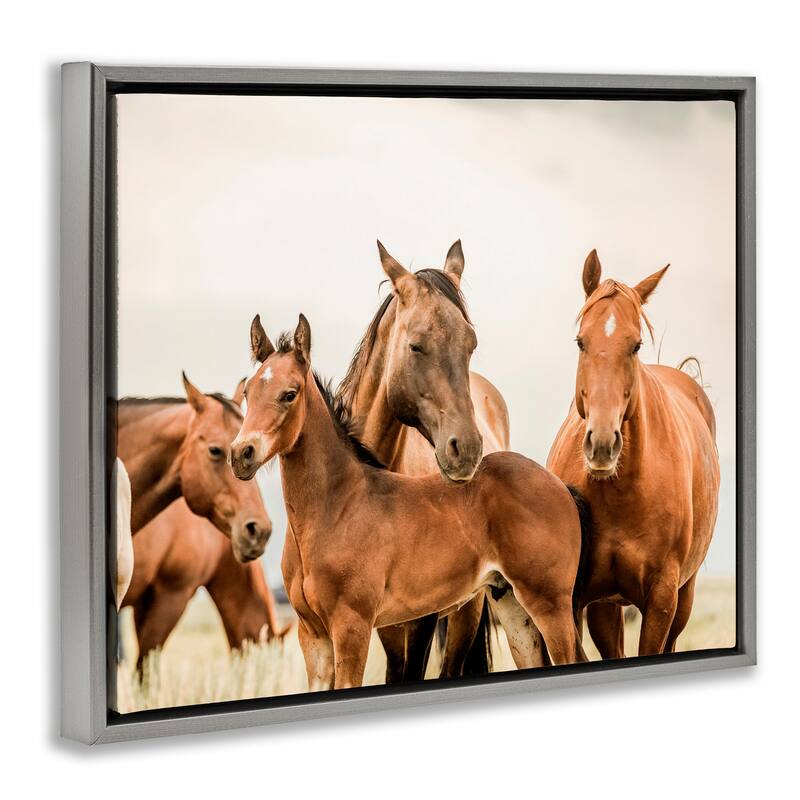 Stupell Horse & Foals Photography Framed Floater Canvas Wall Art Design by Krista Broadway