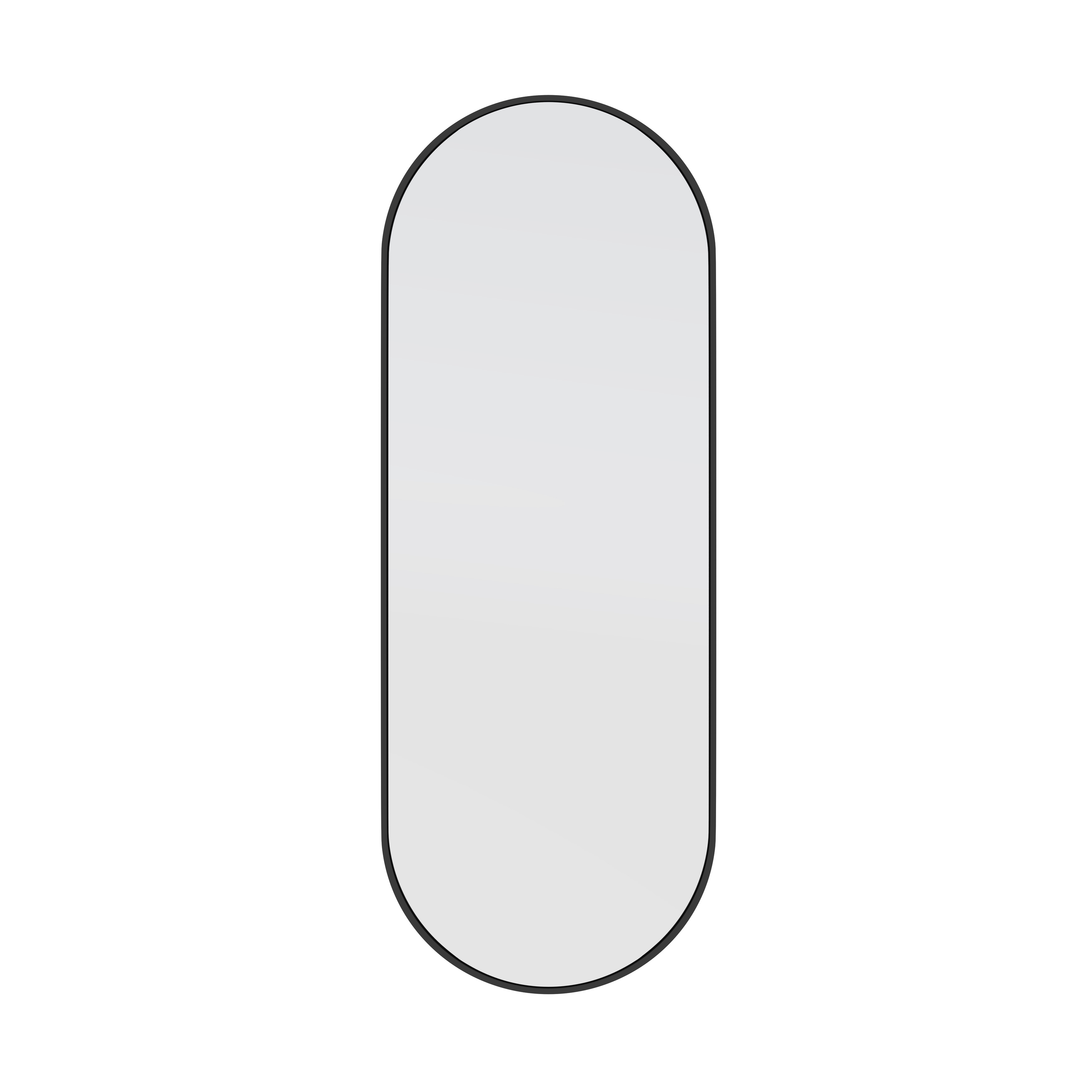Glass Warehouse 60 in. H x 22 in. W Pill Shape Stainless Steel Framed Mirror