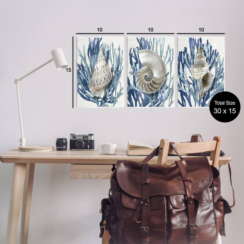 Stupell Shell Coral Blue Beach, 3pc Multi Piece Wood Wall Art Set