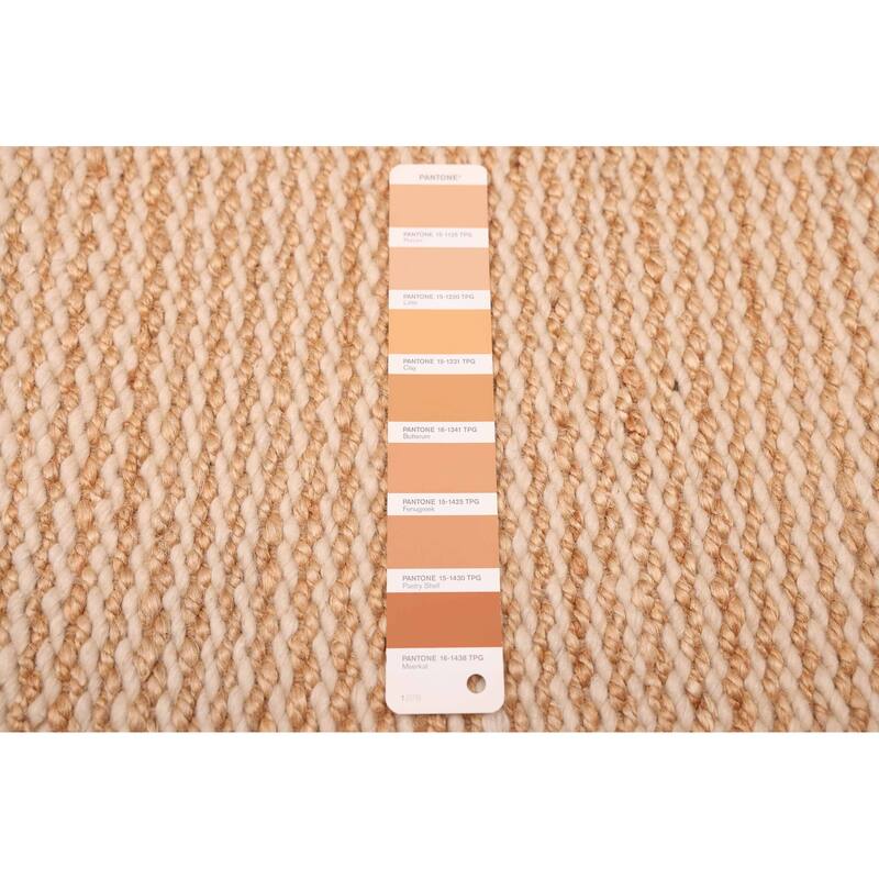 ECARPETGALLERY Braided Weave Palas Denizli Ivory, Tan Rug - 5'3 x 7'8