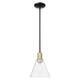 Option Clear / Black Antique Brass