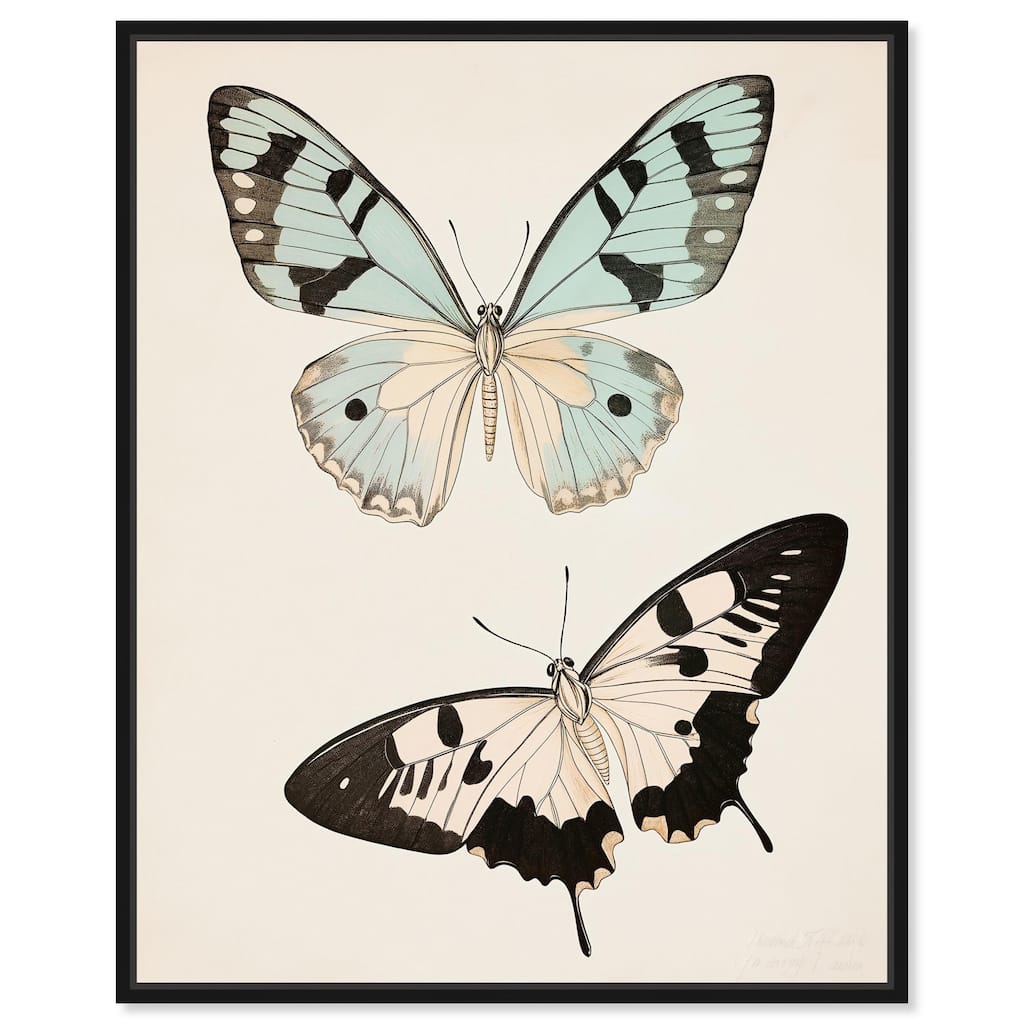 Aniseed Anatomy II Canvas by Art Remedy
