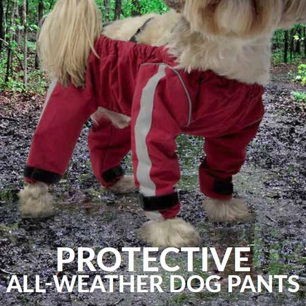 Shop Foufou Dog Bodyguard Dog Pants Gray Free Shipping Today