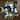 Frosted Pine with Blueberries  Bows and Ornaments Christmas Wreath - 24" - Unlit
