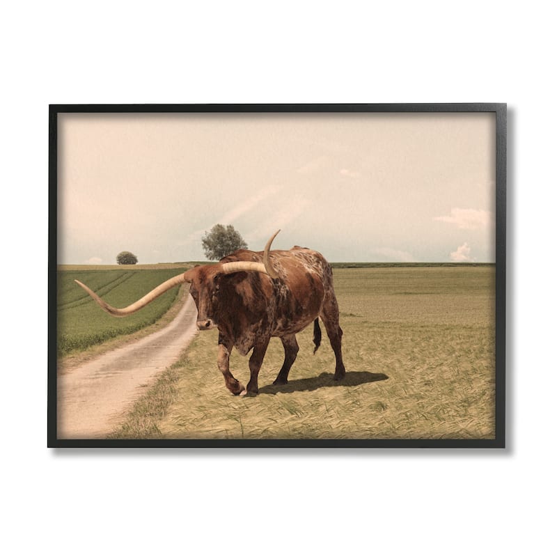 Stupell Longhorn Cattle Grazing Scenic Countryside Landscape Framed Wall Art, Design by Marcus Prime - 30 x 24 - Black