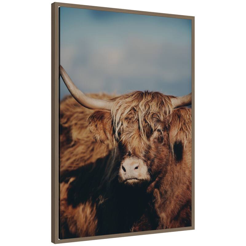 Kate and Laurel Highland Cow X by Laura Evans Framed Canvas Wall Art Print - 23 x 33 - Gold