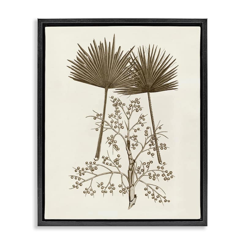 Stupell Palm Leaf & Olive Branches Framed Floater Canvas Wall Art Design By Phillipa Katz - 25 x 31 - Black
