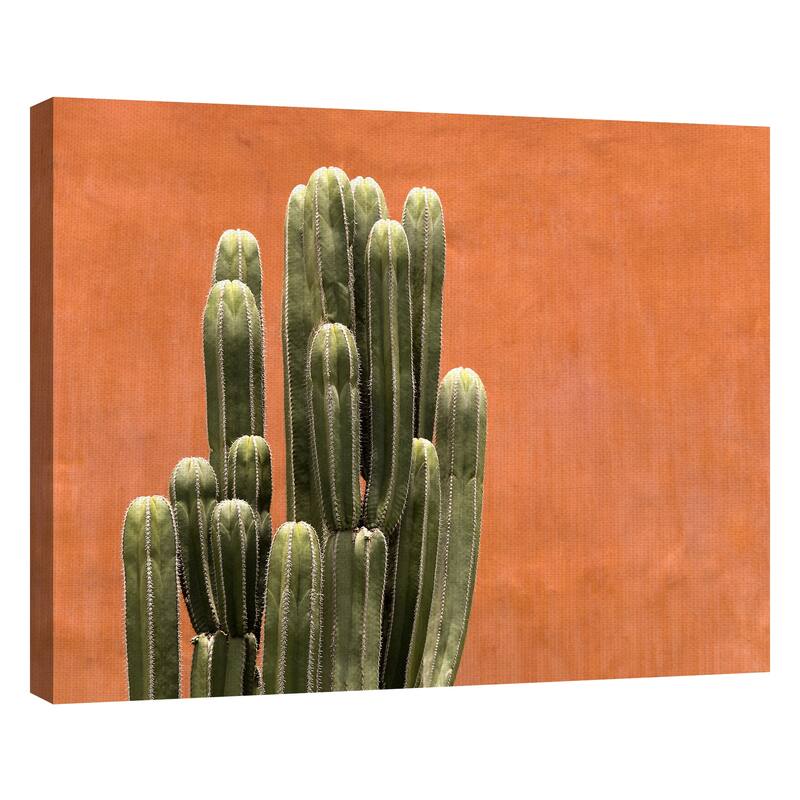 Amber Succulent by Belle Maison Canvas Art Print