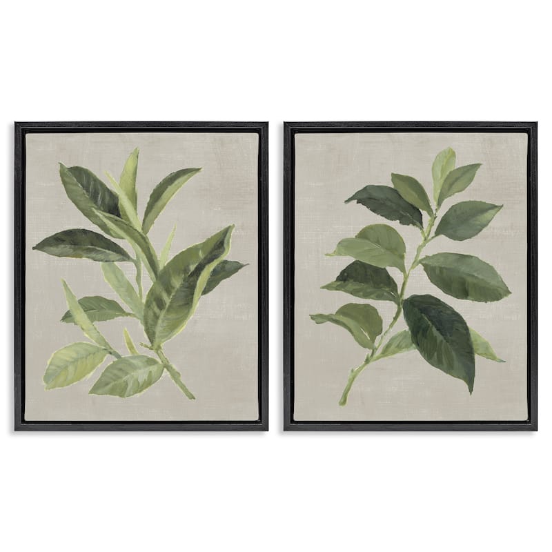 Stupell Green Tea & Coffee Plant Leaves Framed Floater Canvas Wall Art Design By Lanie Loreth (Set of 2) - 25 x 31 - Black