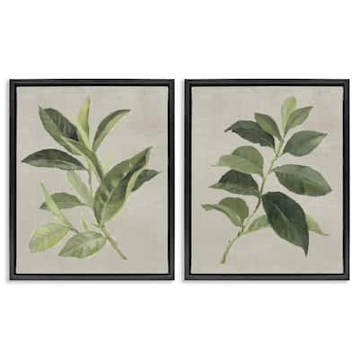 Stupell Green Tea & Coffee Plant Leaves Framed Floater Canvas Wall Art Design By Lanie Loreth (Set of 2)