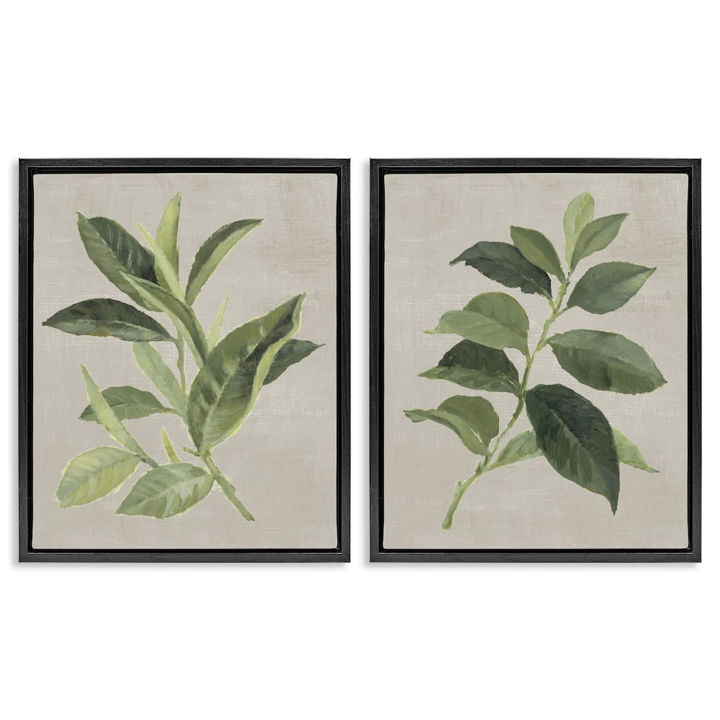 Stupell Green Tea & Coffee Plant Leaves Framed Floater Canvas Wall Art Design By Lanie Loreth (Set of 2)